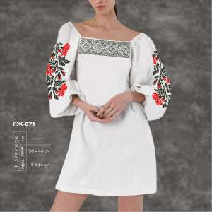 Women's Dress with Sleeves PZh-076