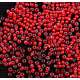 May 14, 2025. NEW ARRIVAL OF PRECIOSA BEADS 10/0