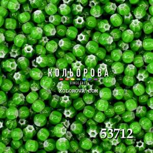 Бісер Preciosa 53712 6/0