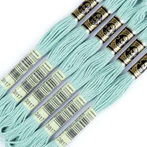 DMC Floss 3817
