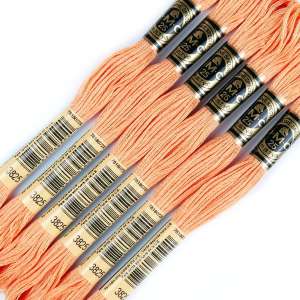 DMC Floss 3825