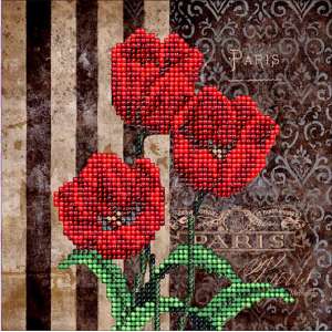 50116 Flowers 5