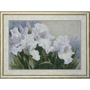 10208 Flower Clouds