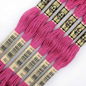DMC Floss 602