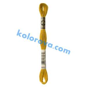 Mouline DMC 3852
