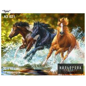 Картина для вишивки формату A3 021 "Тріо"