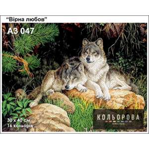 Картина для вишивки формату A3 047 "Вірна любов"