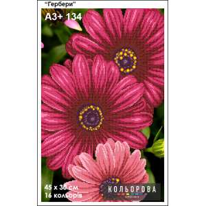 Картина для вишивки формату A3+ 134 "Гербери"