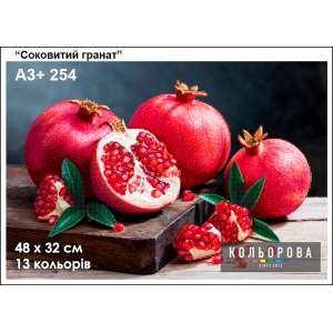 Картина для вышивки формата А3 + 254 "Сочный гранат"