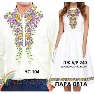 Пара 81А (ЧС-104 + ПЖ Б/Р-240 (кльош))