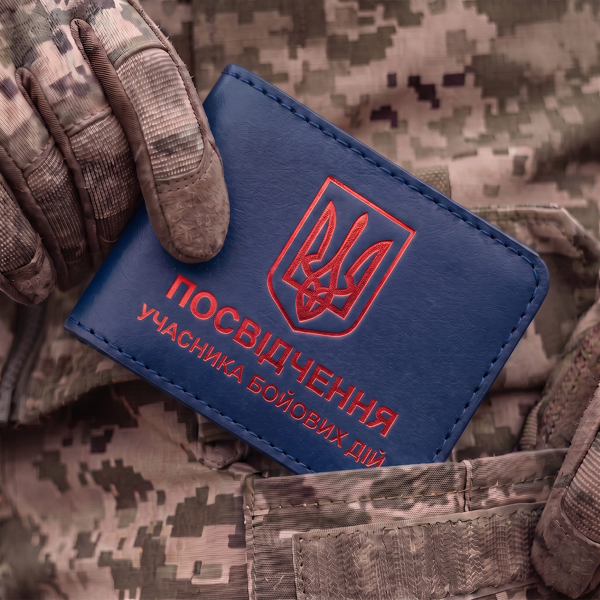 Cover for the UBD Certificate with Coat of Arms (blue, red embossing)