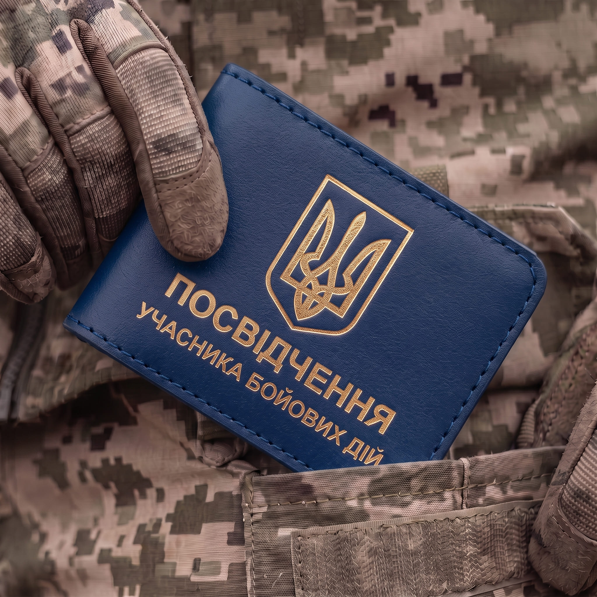 Cover for UBD Certificate with Emblem (blue, gold embossing)