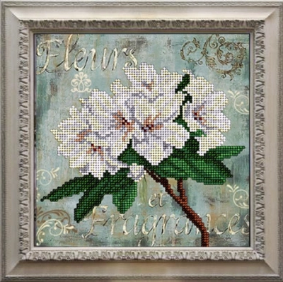 11115   Flowers