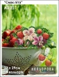 Embroidery Kit A3 Format 227 "Taste of Summer"