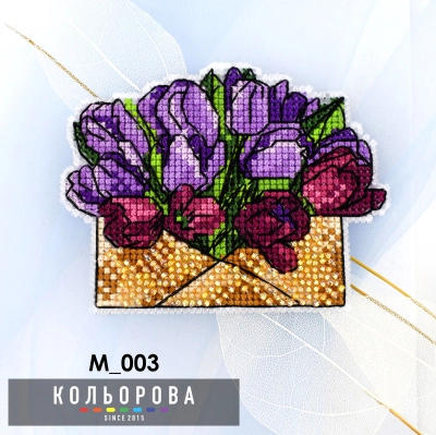 Magnet M_003 