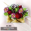 Magnet M_005 