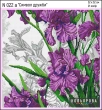 Embroidery Kit N 022a "Symbol of Friendship"