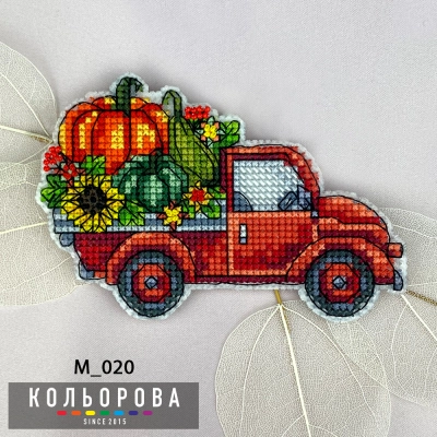 Magnet M_020 
