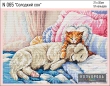 Embroidery Set N 065 "Sweet Dream"