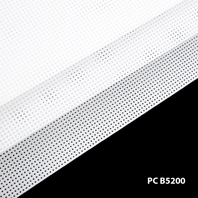 Канва пластиковая цветная РС B5200*