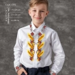 Children's Shirt (Boys 5-10 Years) SDH-072