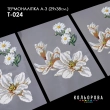 Thermal Sticker A-3 (29x38 cm) A3 T-024