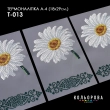 Thermal Sticker A-4 (18x29 cm.) A4 T-013