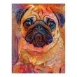 NATOBIPRINT Printed Thermo Sticker (18x23 cm) P104