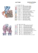 Термоналіпка А-3 (29х38 см.) А3 Т-041
