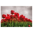 Printed Thermo-label NATOBIPRINT (18x27 cm) P239