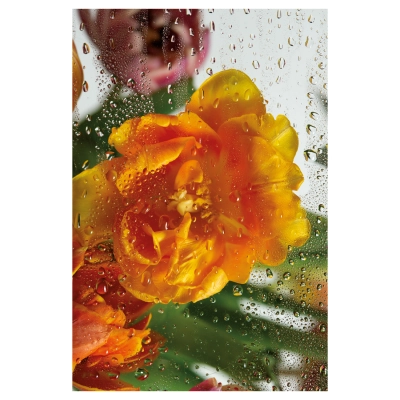 Термоналіпка принтована NATOBIPRINT (18х27 см.) П242