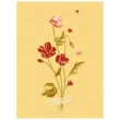 NATOBIPRINT Printed Thermotransfer (18x24 cm) P249