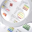 Universal flexible magnifier with LED illumination MG3132