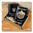 Набір обкладинок: військовий квиток та Passport