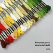 Shopper for Embroidery SHP-13/094