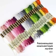 Shopper for Embroidery SHP-12/101