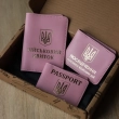 Set of Covers: Military ID, UBD and ID-passport (pink, black embossing)