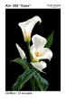 Embroidery Canvas in A3+ Format 355 "Сalla lilies"