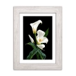 Embroidery Canvas in A3+ Format 355 "Сalla lilies"