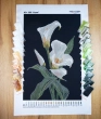 Embroidery Canvas in A3+ Format 355 "Сalla lilies"