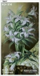 A3+ Embroidery Kit 014 "Lilies"