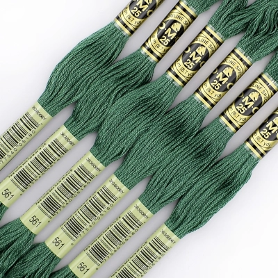 DMC Floss 561
