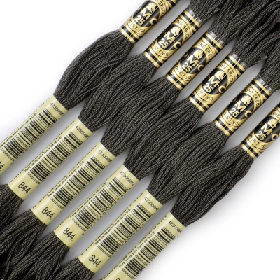 DMC 844 Embroidery Thread