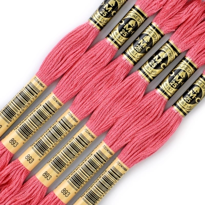 DMC Floss 893