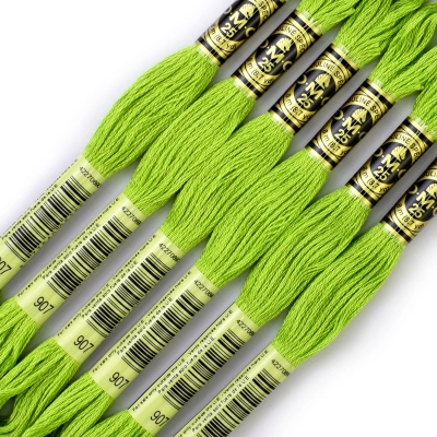 DMC 907 Embroidery Floss
