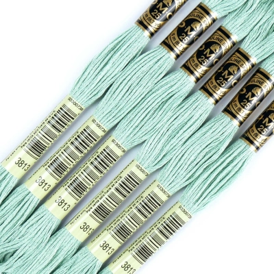 DMC 3813 Embroidery Floss