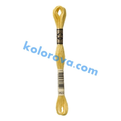 Mouline DMC 3822