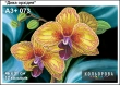 Embroidery Pattern A3+ 073 "Wild Orchid"