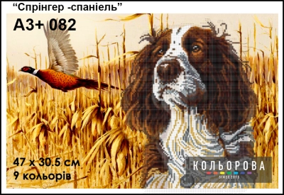 Картина для вишивки формату A3+ 082 "Спрінгер-спанієль"